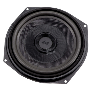 20 см (8") Акустическая система BLAM BM 200WN
