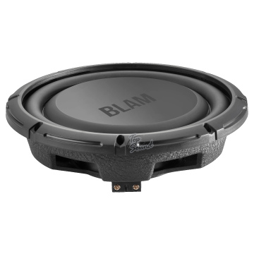 25 см (10") Акустическая система BLAM RS10.2 