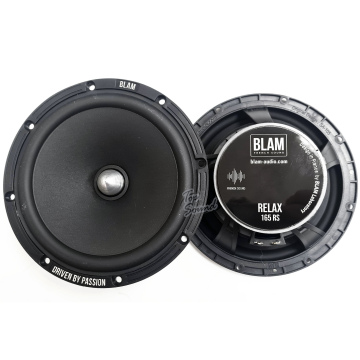 16,5 см (6,5") Акустическая система BLAM  W165 R2