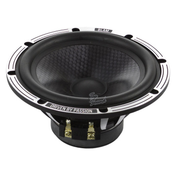 16,5 см (6,5") Акустическая система BLAM LW165A